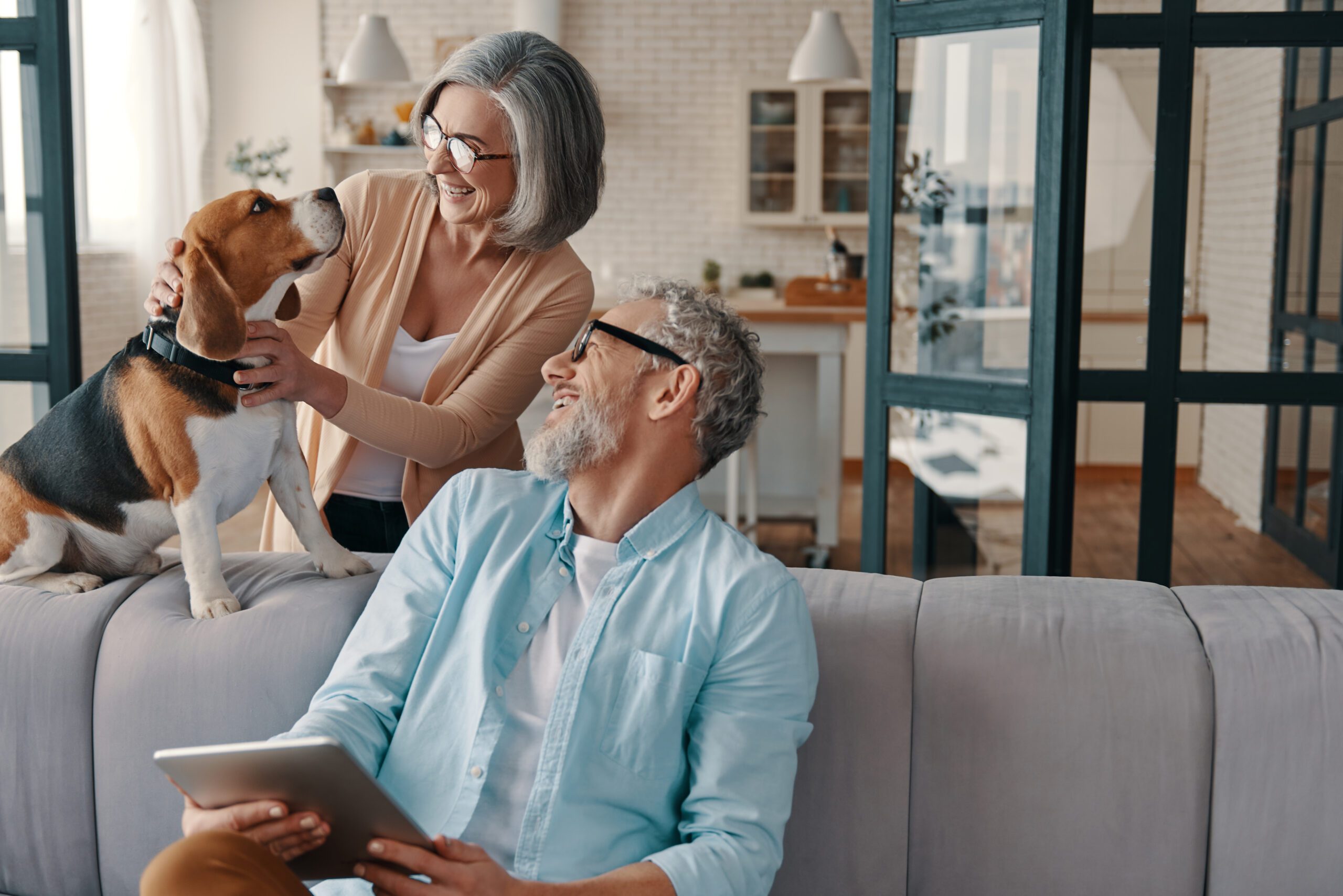 Happy senior couple in casual clothing smiling and taking care of their dog while bonding together at home